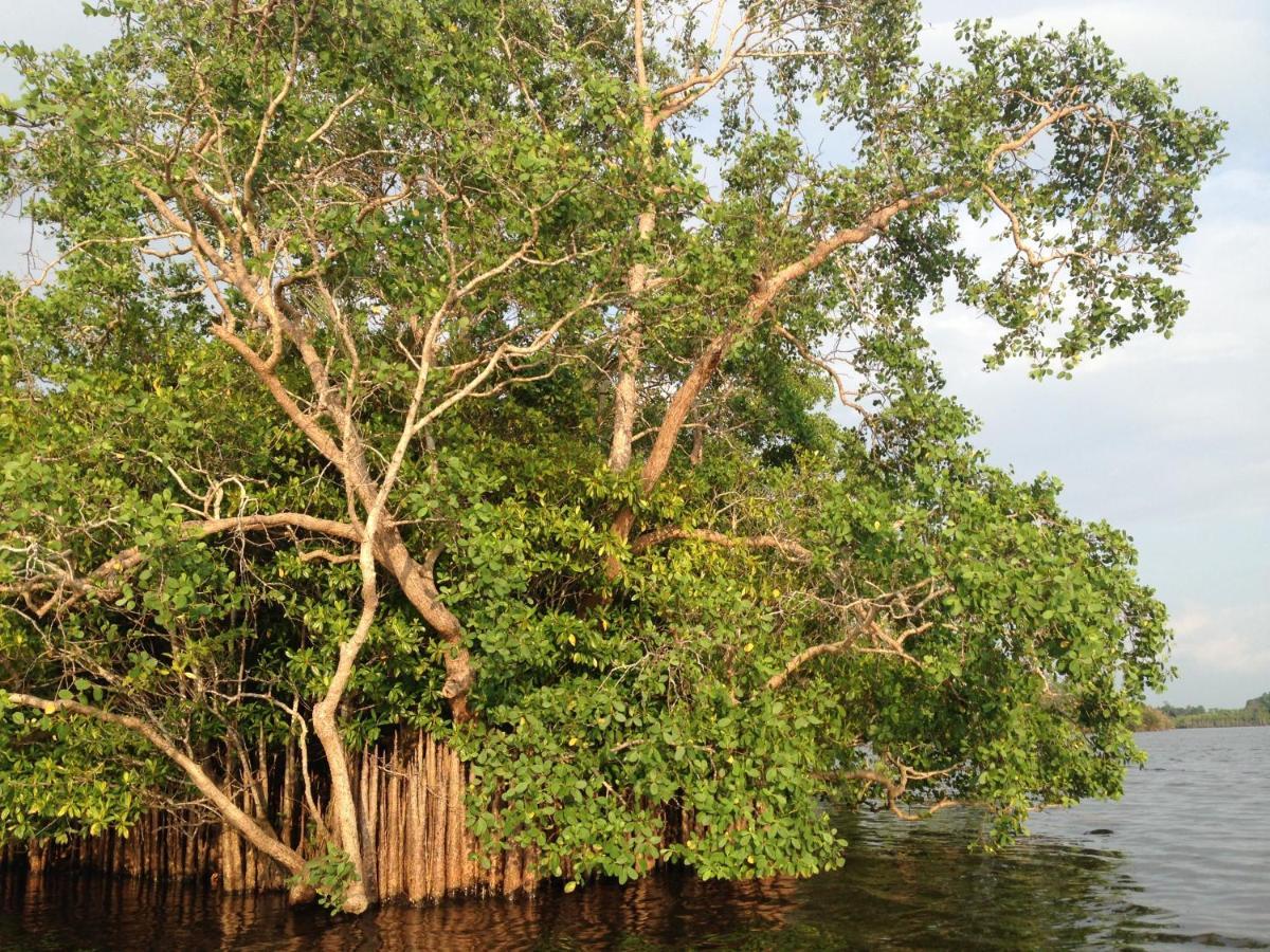 Lake Life Villa Ambalangoda  Ngoại thất bức ảnh