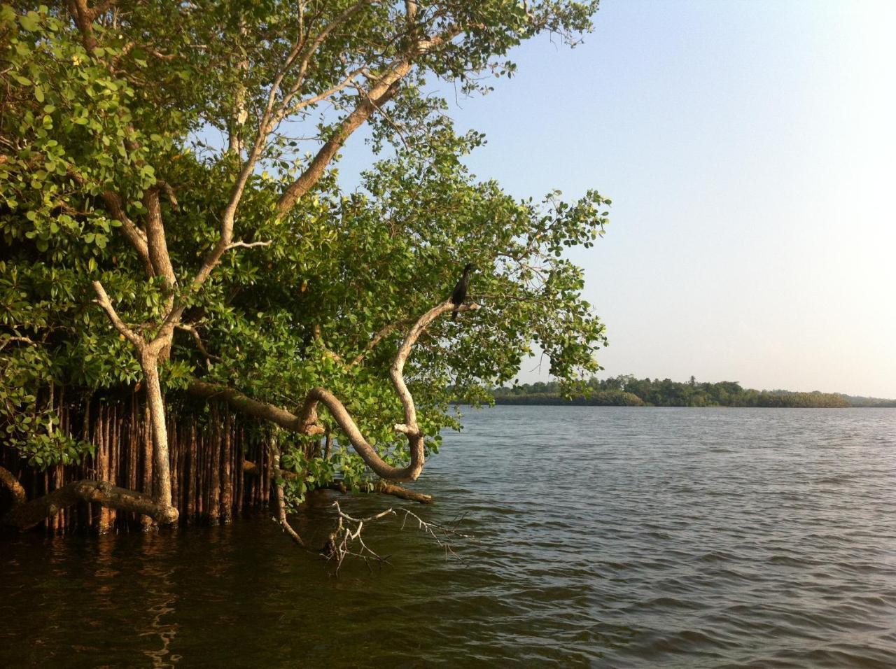 Lake Life Villa Ambalangoda  Ngoại thất bức ảnh