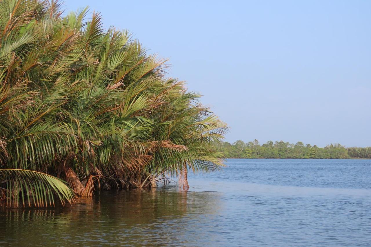 Lake Life Villa Ambalangoda  Ngoại thất bức ảnh